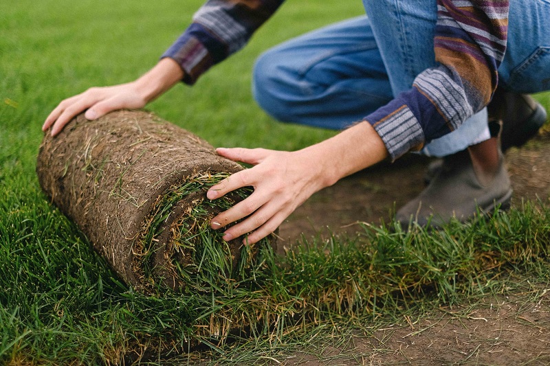 Best Time of Year for Sod Installation in Different Regions