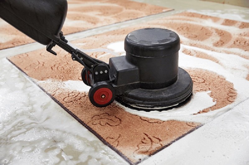 Why Regular Carpet Cleaning is Essential for Longevity and Hygiene