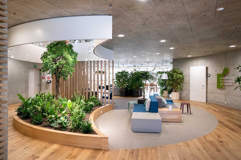 How Sustainable Office Design Boosts Employee Wellbeing